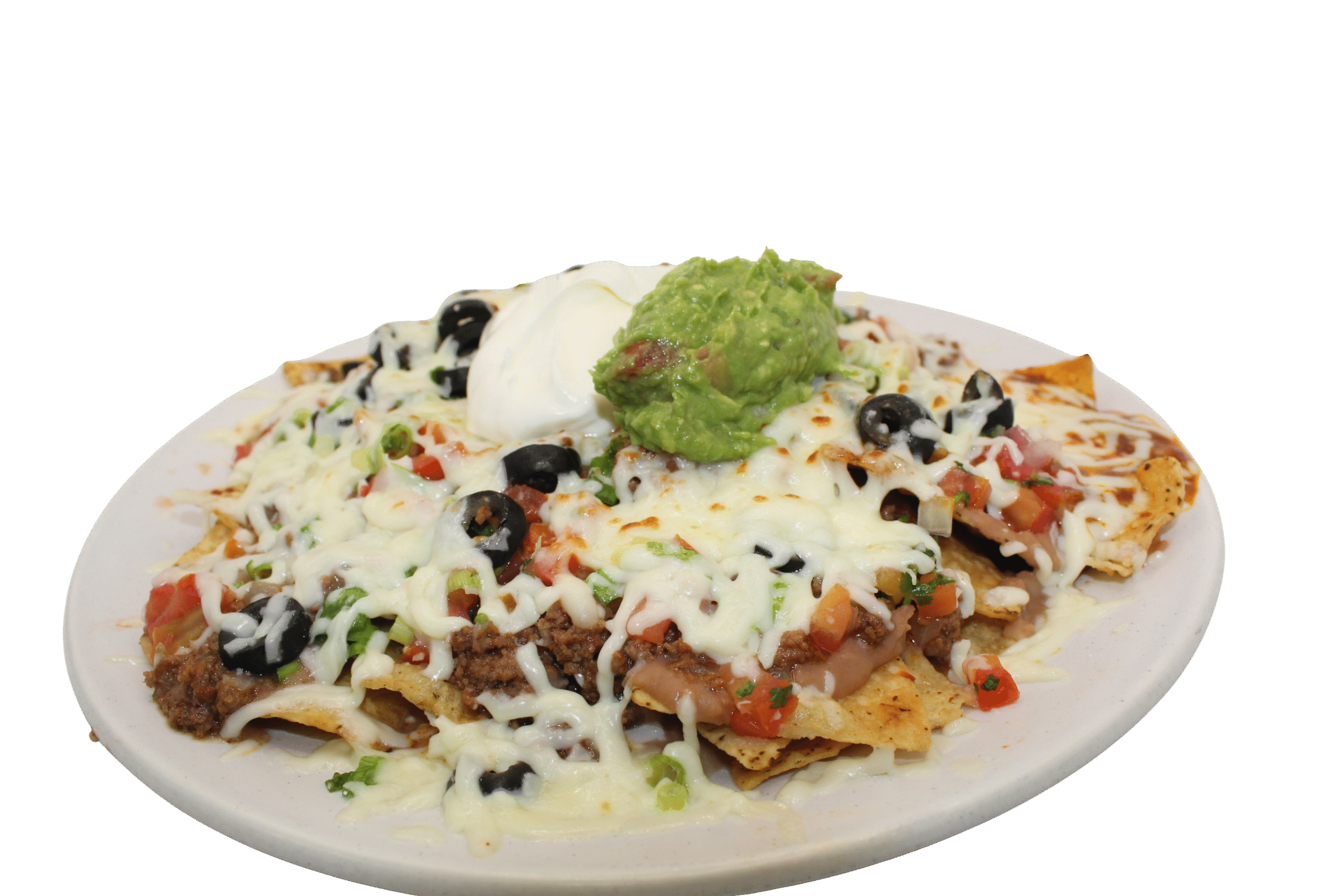 untitled design (16)